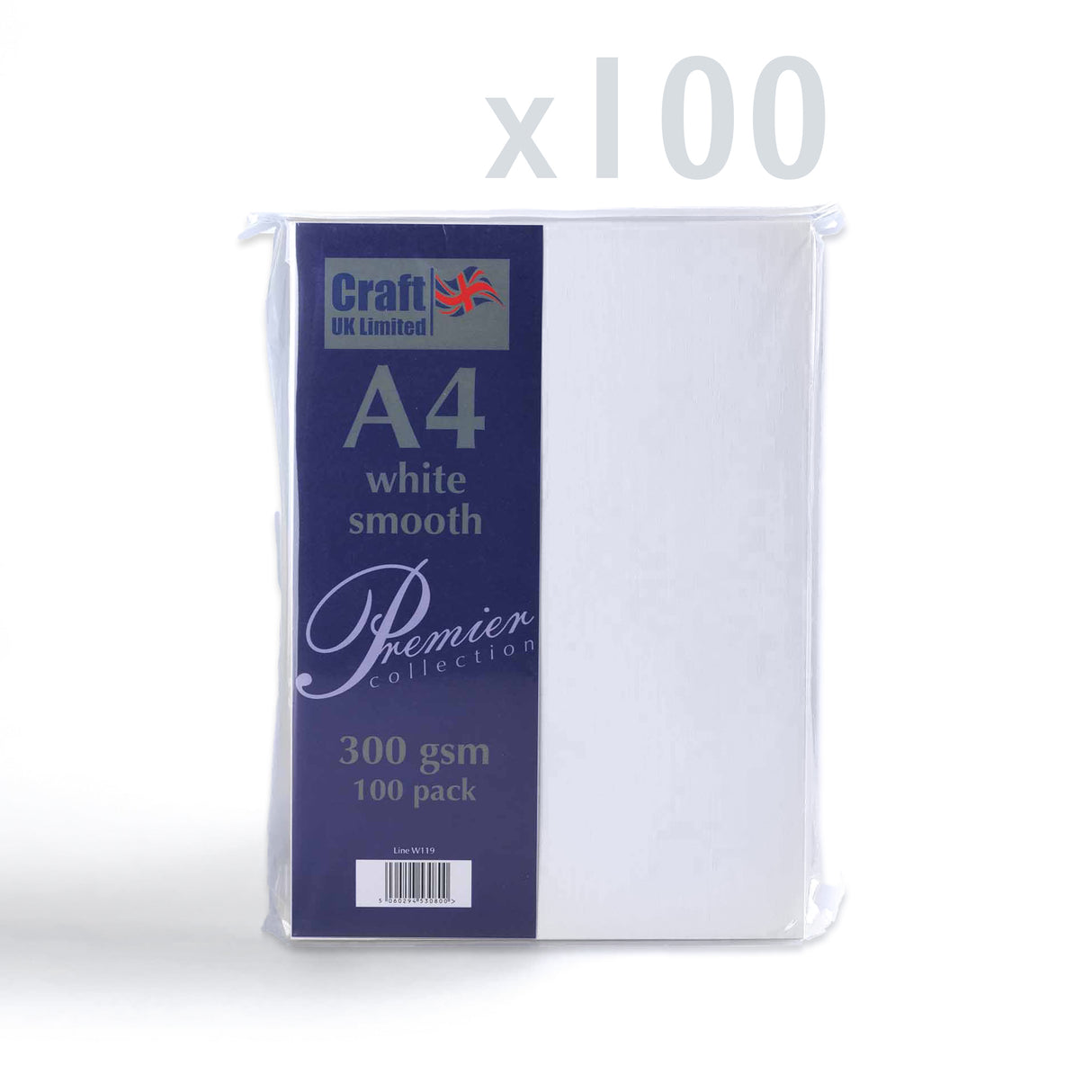 Kaart 300 g/m² Pak van 100 stuks