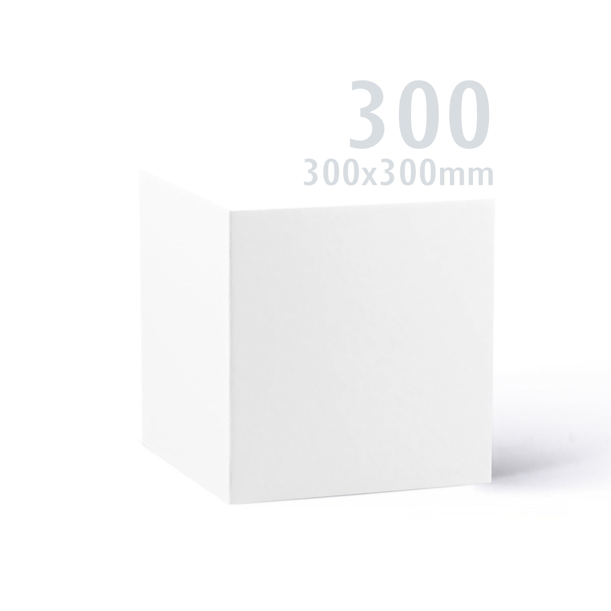 300x300 Witte Premier Kaart 250 g/m² Pak